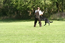 Enlarge photo 22