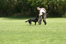 Enlarge photo 24