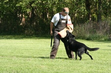 Enlarge photo 28