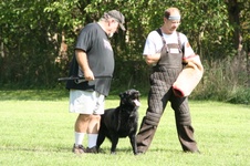 Enlarge photo 30