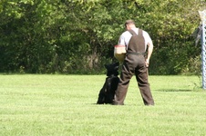 Enlarge photo 40