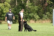 Enlarge photo 42
