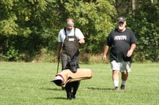 Enlarge photo 49
