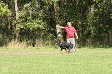Enlarge photo 63