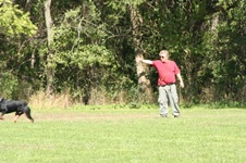 Enlarge photo 65