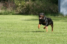 Enlarge photo 67
