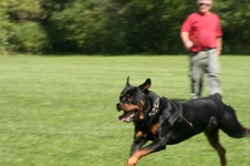 Enlarge photo 69