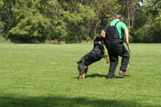 Enlarge photo 80