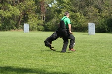 Enlarge photo 81