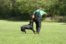 Enlarge photo 85