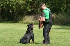 Enlarge photo 92