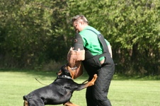 Enlarge photo 99