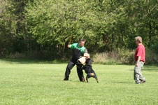 Enlarge photo 111