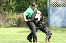 Enlarge photo 115