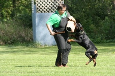 Enlarge photo 117
