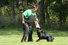 Enlarge photo 121