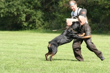 Enlarge photo 125