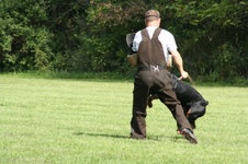 Enlarge photo 127