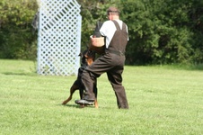 Enlarge photo 130