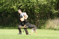 Enlarge photo 138