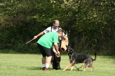 Enlarge photo 140