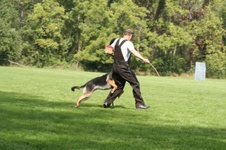 Enlarge photo 143