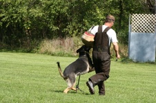 Enlarge photo 146