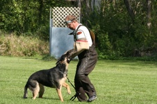 Enlarge photo 152