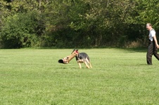 Enlarge photo 157