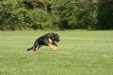 Enlarge photo 159