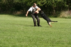 Enlarge photo 163