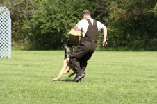 Enlarge photo 164