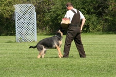Enlarge photo 166