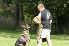Enlarge photo 187