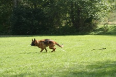 Enlarge photo 195