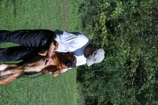 Enlarge photo 37