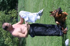 Enlarge photo 53