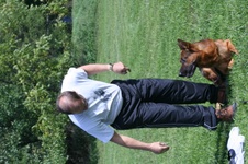 Enlarge photo 60