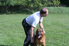 Enlarge photo 73
