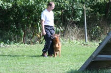 Enlarge photo 86