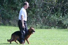 Enlarge photo 89