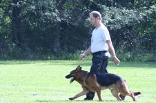 Enlarge photo 97