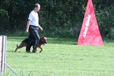 Enlarge photo 104