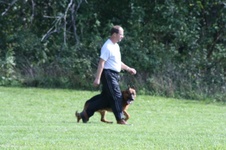 Enlarge photo 106