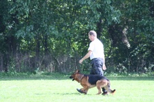 Enlarge photo 108