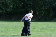Enlarge photo 116