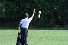 Enlarge photo 118