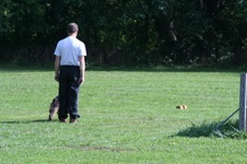 Enlarge photo 120