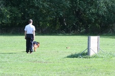 Enlarge photo 122