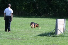 Enlarge photo 124